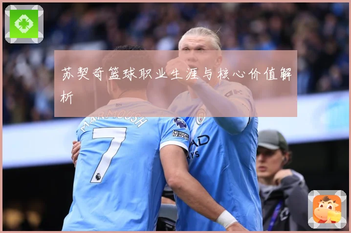苏契奇篮球职业生涯与核心价值解析
