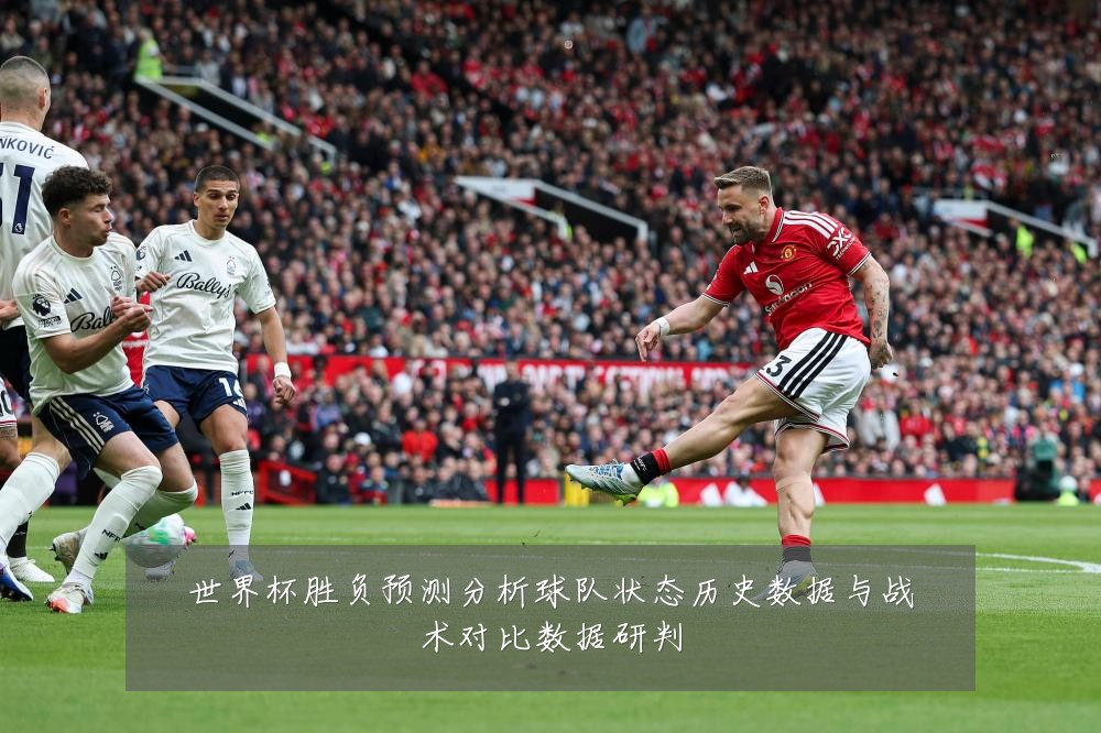 世界杯胜负预测分析球队状态历史数据与战术对比数据研判